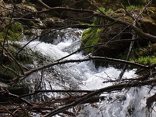 2011-05-05 (159).jpg