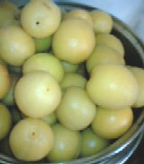 一晩水でアク抜きしたらさらにいい色*