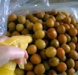 焼酎をシュっシュ*