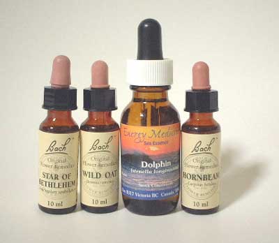 フラワーレメディ