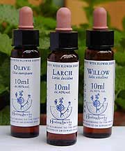 フラワーレメディカリス