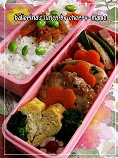 ヘルシーバーグ弁当９