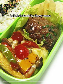 照り焼きバーグ弁当９