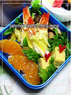 鶏飯弁当６