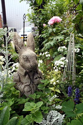 ウサギ