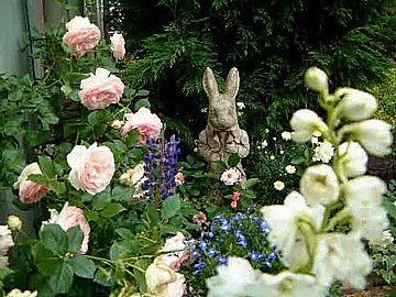 2004ウサギ