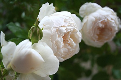 グラミス・キャッスル