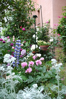 コント・ド・シャンボール