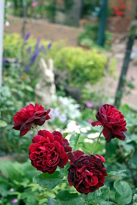 フランシス・デュブルイ