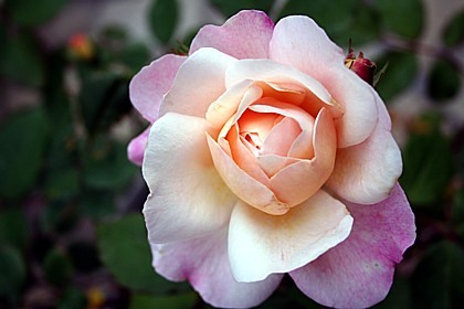 グルス・アン・アーヘン