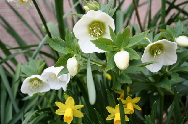 クリロー2011