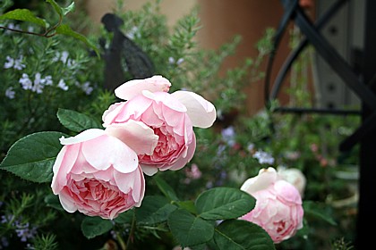 アルン・ウイック・キャッスル