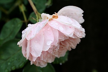 アルン・ウイック・キャッスル