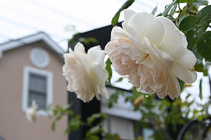 セバスチャン・クナイプ