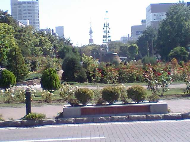 大通り公園