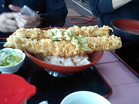 tendon