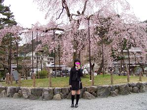 嵐山川沿いの桜