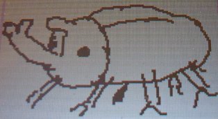 生き物３