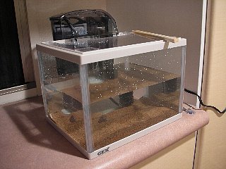 すいそう