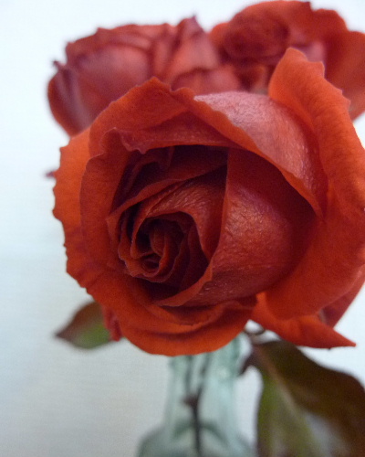 カラーブレイク