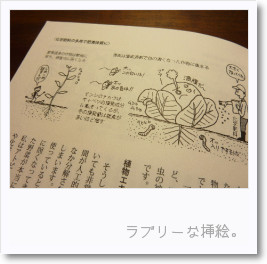 photo2.jpg