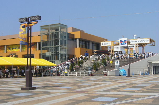 海遊館