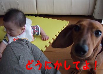 どうにかして！