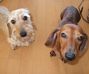 何を期待してるの？？