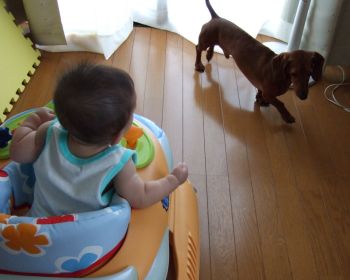 勘弁してよぉ・・