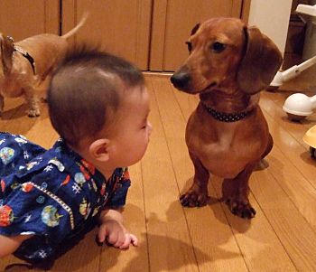 だから何？？