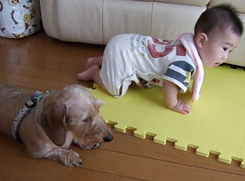 なんだこれ(笑)