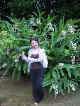 tukkimomo