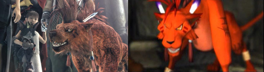 犬（また名前分からない）の変化