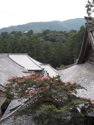 方廣寺.jpg