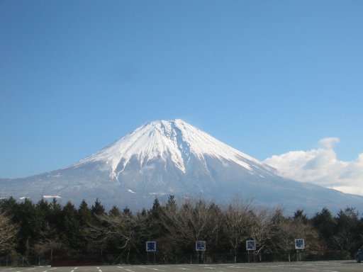 ドラゴンズツアー