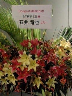 STRiPES赤プリ