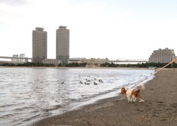 海浜公園