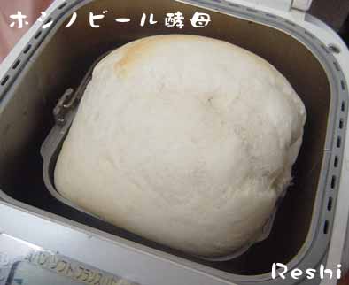 ホシノビール酵母のパン