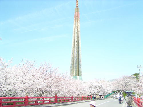 ヘルスメイトのoさん 茨木弁天の桜 きやまんのひとり言 楽天ブログ