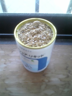 不思議な豆・３