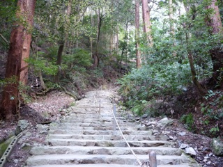 醍醐寺_上醍醐登山道(2)_2010_3_17