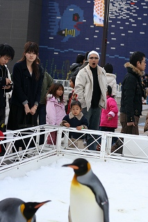 ＦＵＵぺんぎん