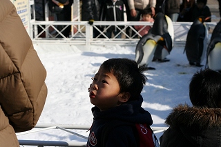 ＲＩＮペンギン