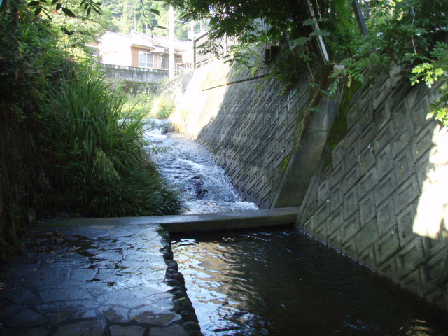 長湯温泉_ガニ湯橋の下