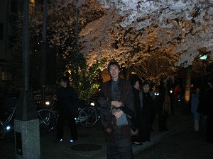 夜桜と雲汀