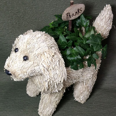 ｱｲﾋﾞｰお散歩