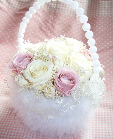 ﾌﾟﾘｻﾞｰﾌﾞﾄﾞ　２００７１２