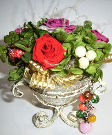 ｽﾀﾝﾄﾞﾎﾟｯﾄ