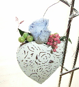 ﾊｰﾄ　ﾊﾝｷﾞﾝｸﾞ