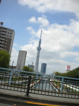 一瞬見えたスカイツリー.jpg